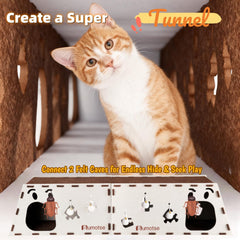 Tunnel chat Bumotse avec balle sonore: stimulation et jeu mental