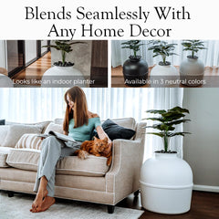 Bundle et Bliss design breveté : esthétique moderne alliant fonctionnalité et discrétion.