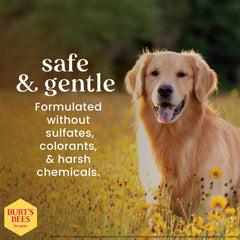 BURT'S BEES FOR PETS Care Plus+—soin hydratant pour pattes sèches du chien.