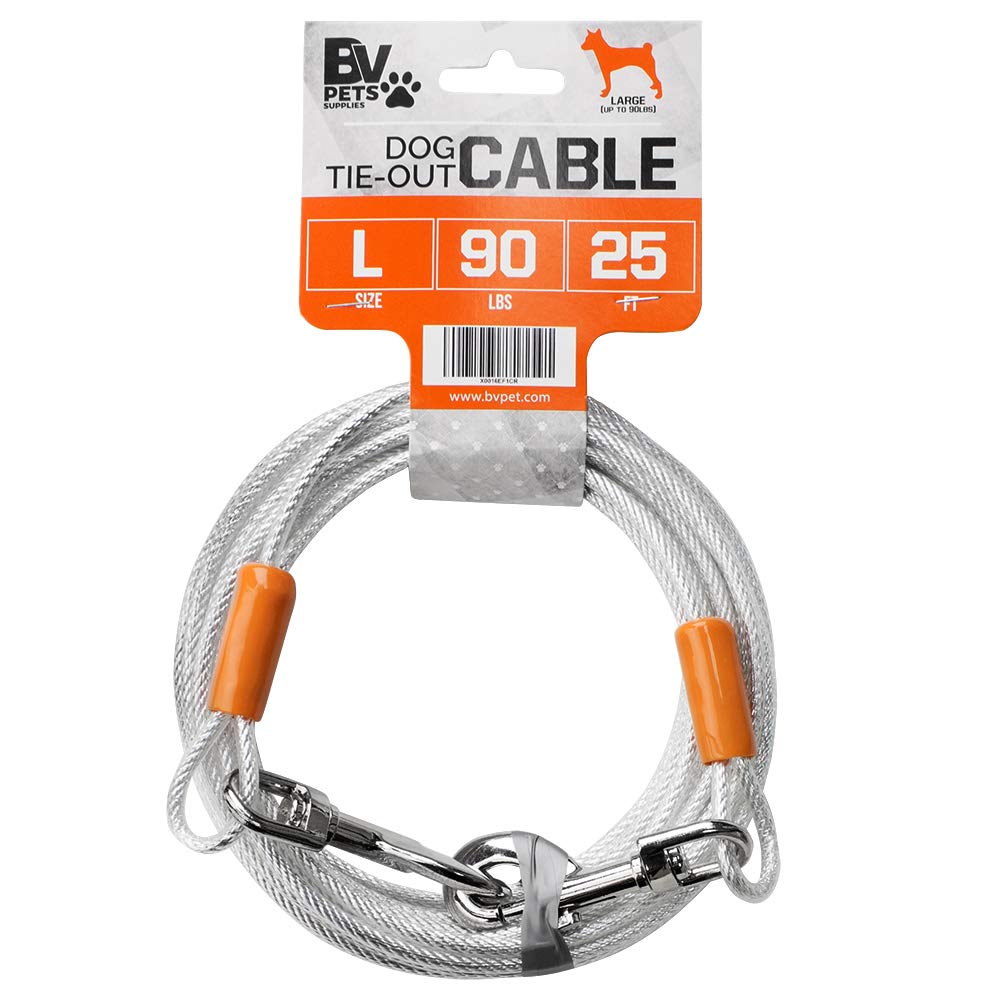 BV câble d'attache chien 25 pieds en action dans le jardin, sécurité améliorée.