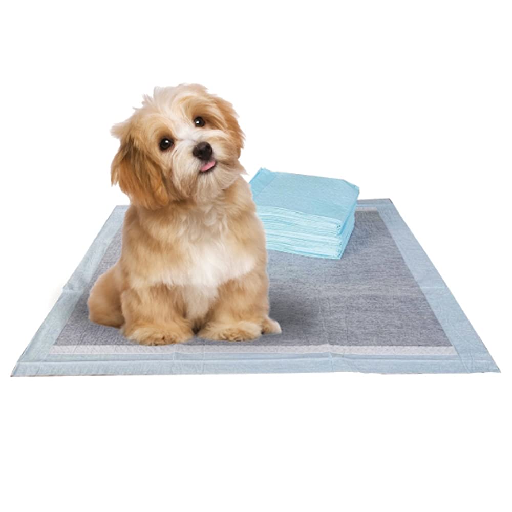 BV Charcoal Coussinets pour chiots: absorption jusqu'à 3 tasses pour protéger le sol.