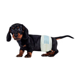 BV couches chien mâle, taille-ajustable, confort sûr pour les longues promenades