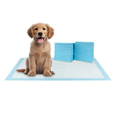 BV XXL tapis absorption 6 couches pour une protection supérieure du sol.