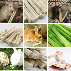 BWOGUE-activite-masticatoire-naturelle: idéal pour occuper les animaux en cage.