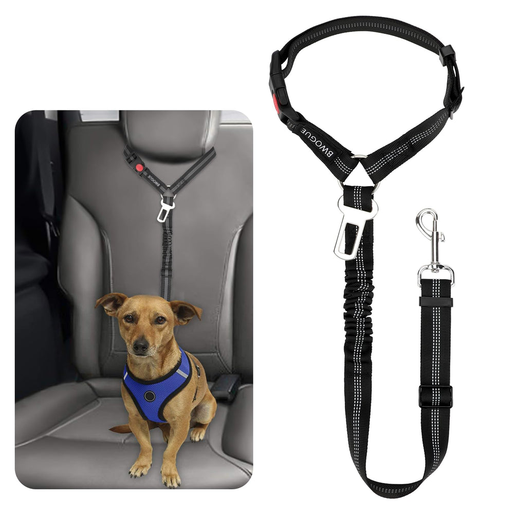 BWOGUE Ceinture sécurité animale en voiture avec elastique réfléchissante pour sécurité nocturne.