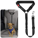 BWOGUE: ceinture sécurité chien-chat en voiture, noir, sécurité accrue.