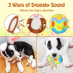 BWOGUE emballage élégant, idée cadeau pour chiots et jeunes chiens.