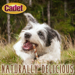 Cadet Gourmet twist boeuf-poulet détail, vue nette de la surface et de l’enrobage