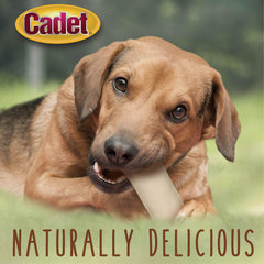Cadet mastications durables qui occupent et découragent les morsures destructrices.