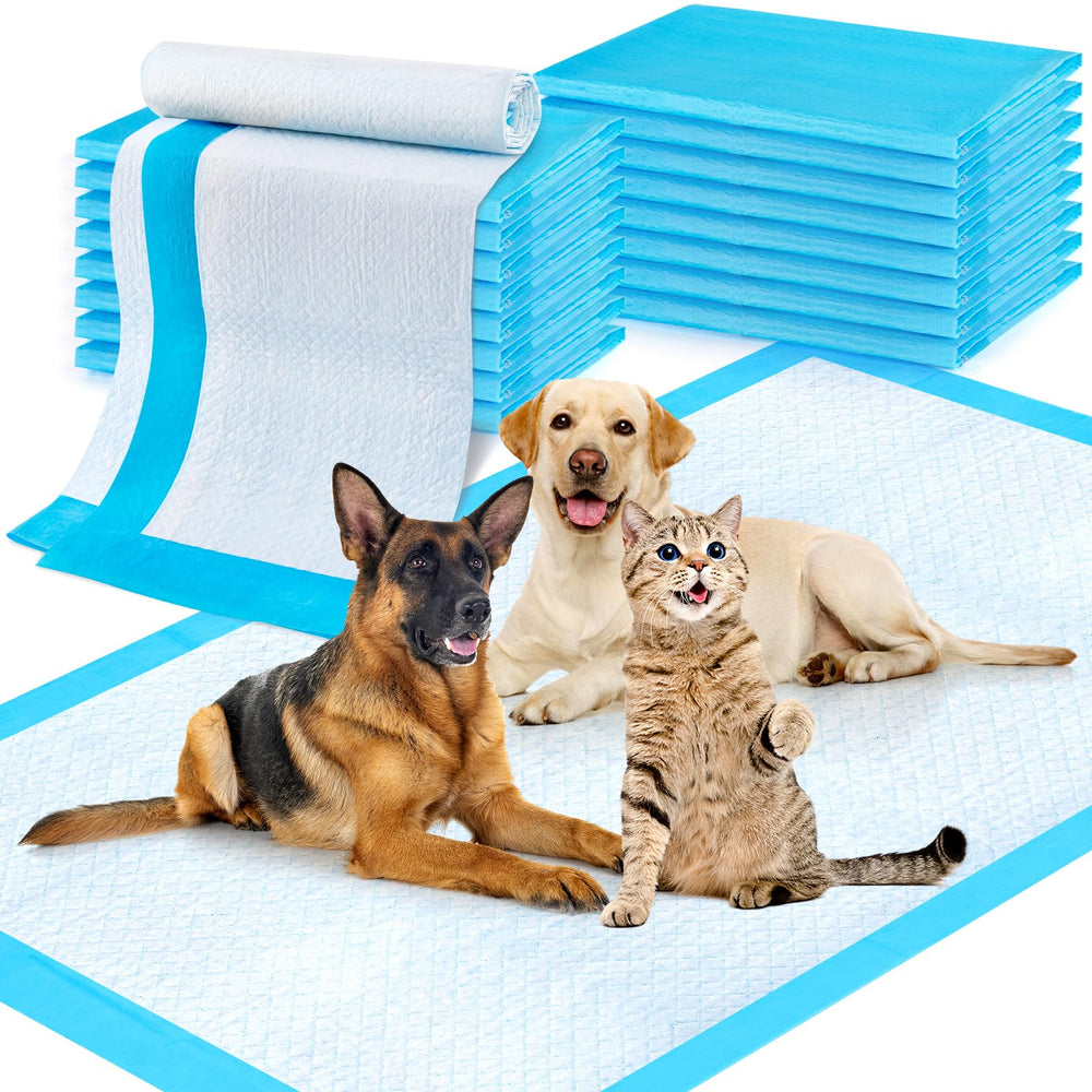 CAHUDIKIC tapis extralarge 36x51 pour protection fiable des sols.