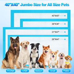 CAHUDIKIC tapis grand format 40x40 pouces pour grands chiens