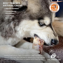 Cal Premium Trachée de Boeuf, croquant naturel pour occuper chiens de petite à moyenne taille.