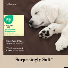 Callarome couverture imperméable marron usage-lit pour protection nocturne.