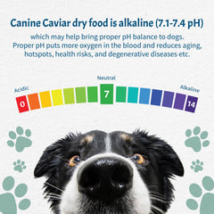 Open Sky Canine Caviar sans additifs artificiels croquettes propres