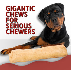 Canine Chews sans odeur, parfaite pour l'intérieur lors des séances de mastication.
