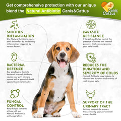 Étiquette Canis&Cattus montrant les plantes utilisées pour infections mineures.