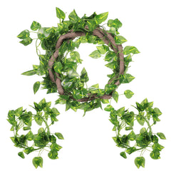 Canlierr vigne reptile flexible pour terrarium, offre une surface d'escalade sûre et naturelle.