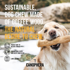 Canophera-chien-mache-bois-cafe-petit, soutien hygiène dentaire.