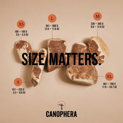 Canophera - utilisation en intérieur et extérieur, activité apaisante pour chiens actifs.