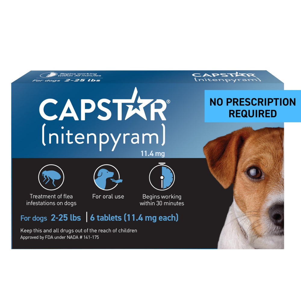Capstar : boîte tablette anti-puces pour chien petit, pratique.