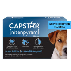 Capstar : boîte tablette anti-puces pour chien petit, pratique.