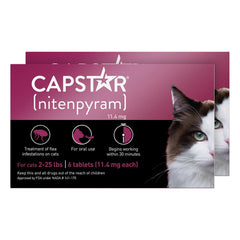Capstar chat comprimé rapide : action en 30 minutes.