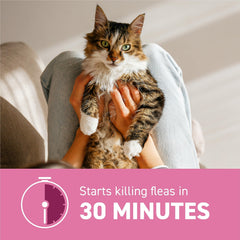 Capstar adapté pour chats pesant 2 à 25 livres.