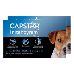 Capstar tablettes-chien-puces-rapide: action rapide sur les puces.