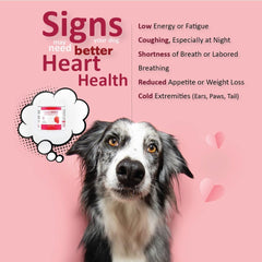 CardioMAX – gommes en forme de cœur, goût agréable pour chien