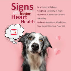 CardioMAX – Taurine et acide aminé dans la formule, pour les fonctions vitales.