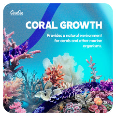 Carib Sea Purple Up facilite l'utilisation pour la croissance rapide des corallines.