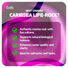 CaribSea LifeRock Dreamscapes – tunnels pour structures d'aquarium intrigantes.