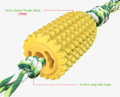 Jouet Carllg: brossage horizontal stimulant les dents et dépôts