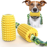 Jouet Carllg: molaires zigzag pour brossage dentaire efficace