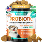 Carmelie probiotiques pour chien – bouteille : soutien digestif pratique et facile à intégrer.