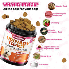 Carmelie supplément urinaire chien, racine d’astragale biologique pour un soutien potentiel.