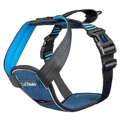 Harnais Carsafe testé en voiture jusqu’à 32 kg pour la sécurité du chien.