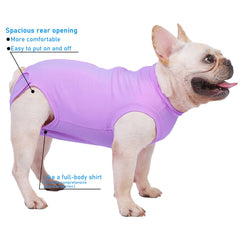 Caslfuca combinaison post-chirurgie pour chien anti-lechage et morsure, protection ciblée.