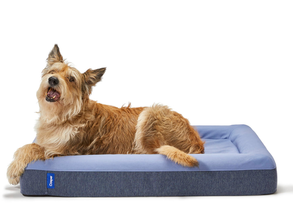 Casper lit chien bleu avec mousse mémoire pour un repos apaisant.