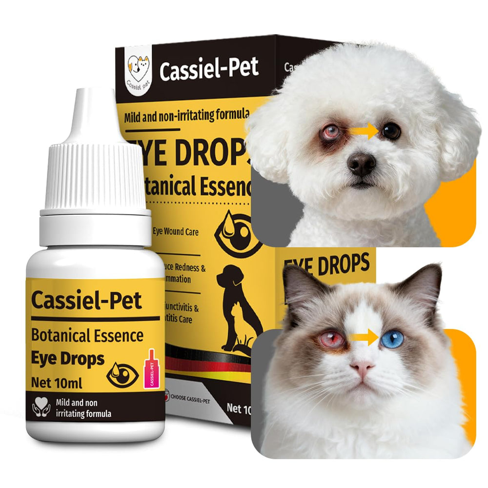 Gouttes oculaires Cassiel Pet pour infection oculaire chez chiens et chats.
