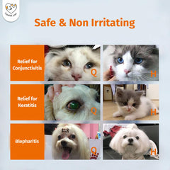 Nettoyage des taches de larmes avec Cassiel Pet.