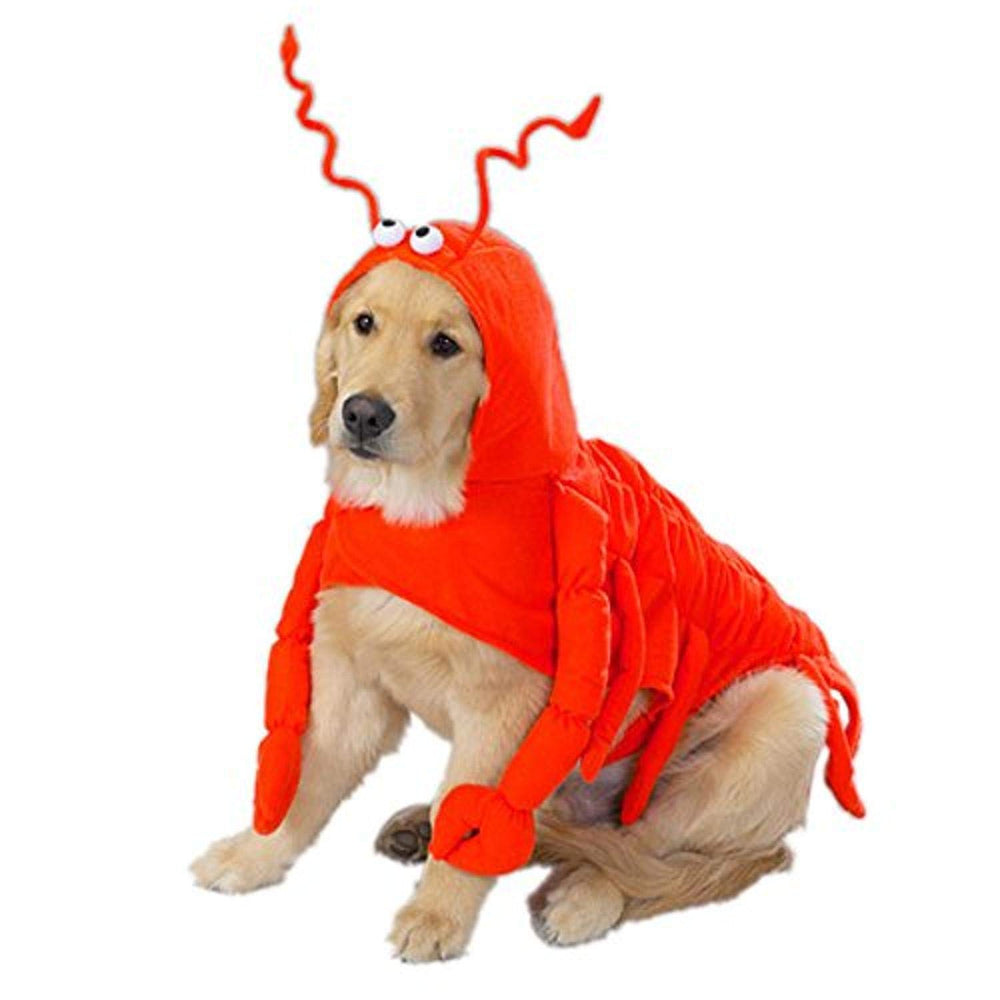 Casual Canine costume pattes-langouste pour chien, idéal pour photos et fêtes.
