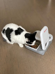 Bords arrondis du bol inox Cat Mate pour sécurité.