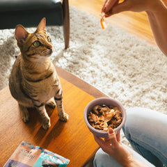 Cat Sushi Flocons Bonito qualité alimentaire humaine et traçabilité.