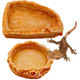Bol CATENEED en résine avec texture roche pour eau reptile, pratique et réaliste.
