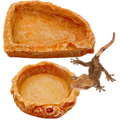 Bol CATENEED en résine avec texture roche pour eau reptile, pratique et réaliste.