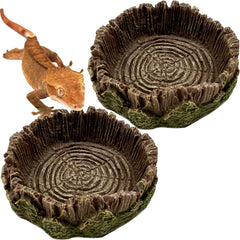 CATENEED petit plat en résine pour reptiles dans le terrarium, aspect roche naturelle.