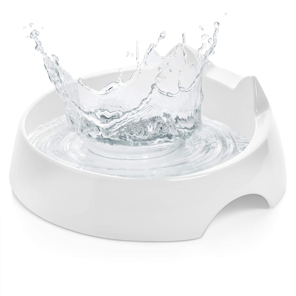 CatGuru bol-eau-chat-marshmallow, bol d’eau pratique pour chats sans moustaches irritées.