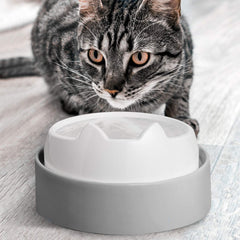 CatGuru Table avec bols, repas plus calmes et moins d effort pour votre chat.