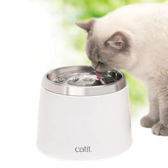 Flux continu d’eau fraîche avec la fontaine Catit pour chat.